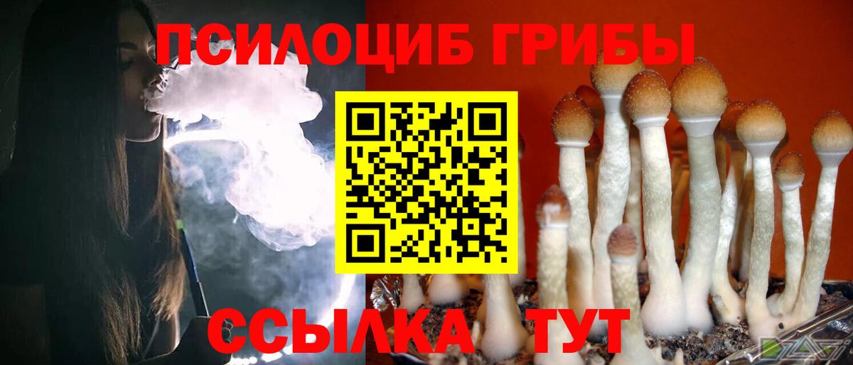 Галлюциногенные грибы Cubensis  Вход с VPN  Псилоцибиновые грибы Magic Shrooms  Таганрог 